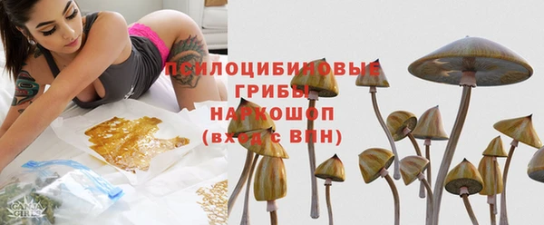 гашик Елизово