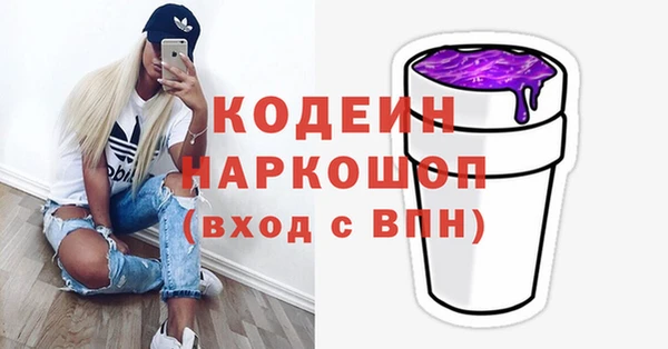 гашик Елизово