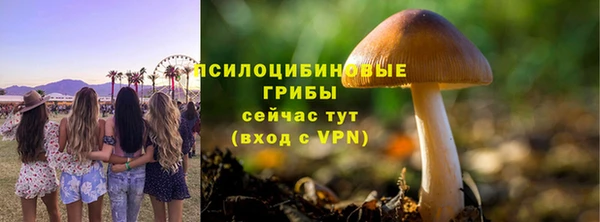 гашик Елизово
