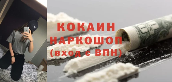 гашик Елизово
