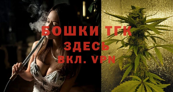 МДПВ Елабуга