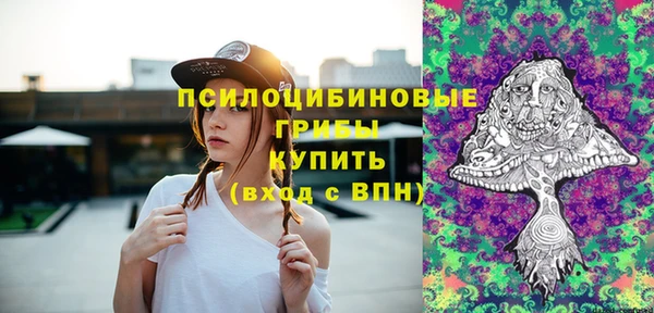 МДПВ Елабуга