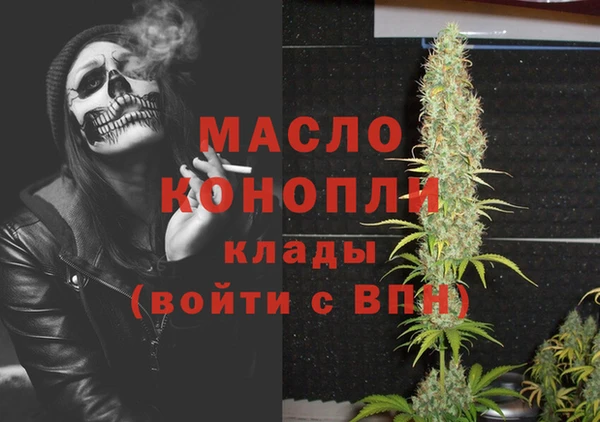 гашик Елизово