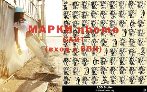 гашик Елизово