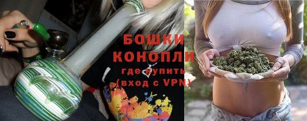 гашик Елизово
