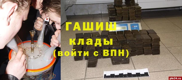 гашик Елизово